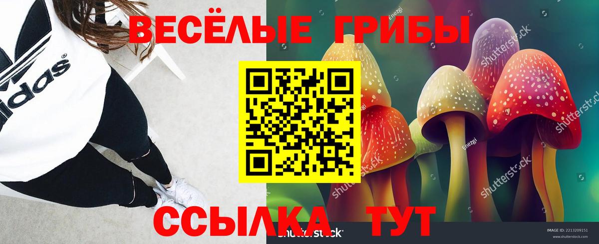 Галлюциногенные грибы Magic Shrooms  Вход с VPN  Клин 